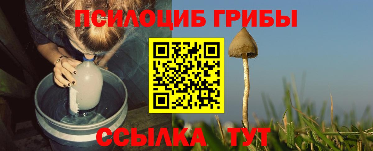 Псилоцибиновые грибы GOLDEN TEACHER  Вход с VPN  Кохма 